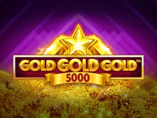 Gold Gold Gold 5000 game cover